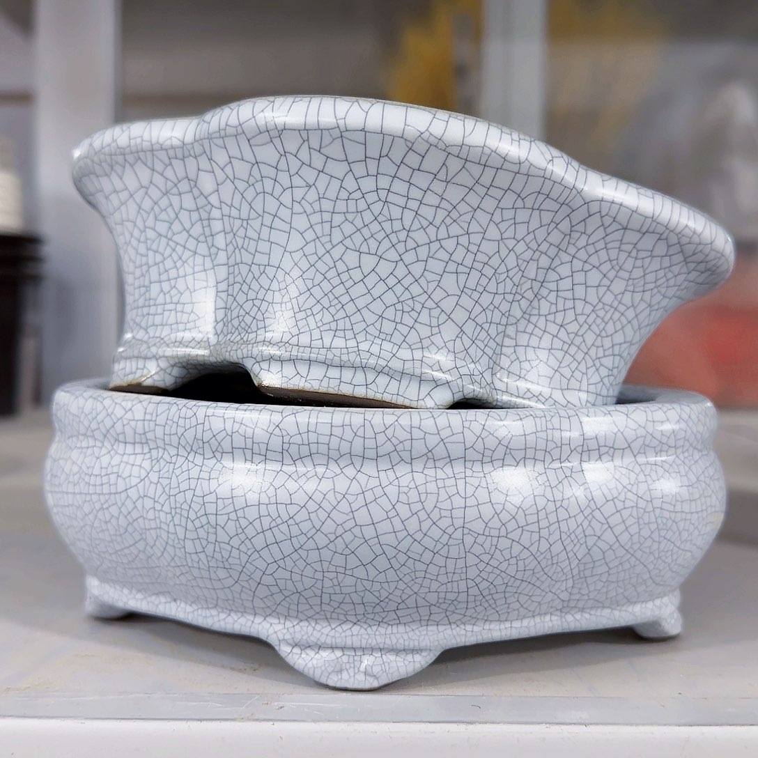 陶瓷花盆特价上新