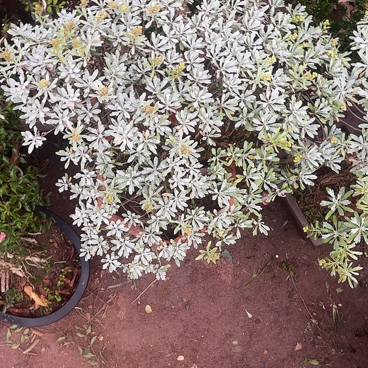 盗***稞无花朵哈哈哈哈哈