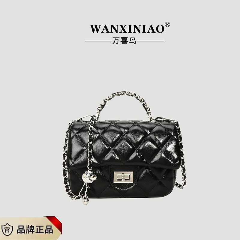 小众设计精致链条包包女2025流行高级质感夏季新款单肩斜跨包手提