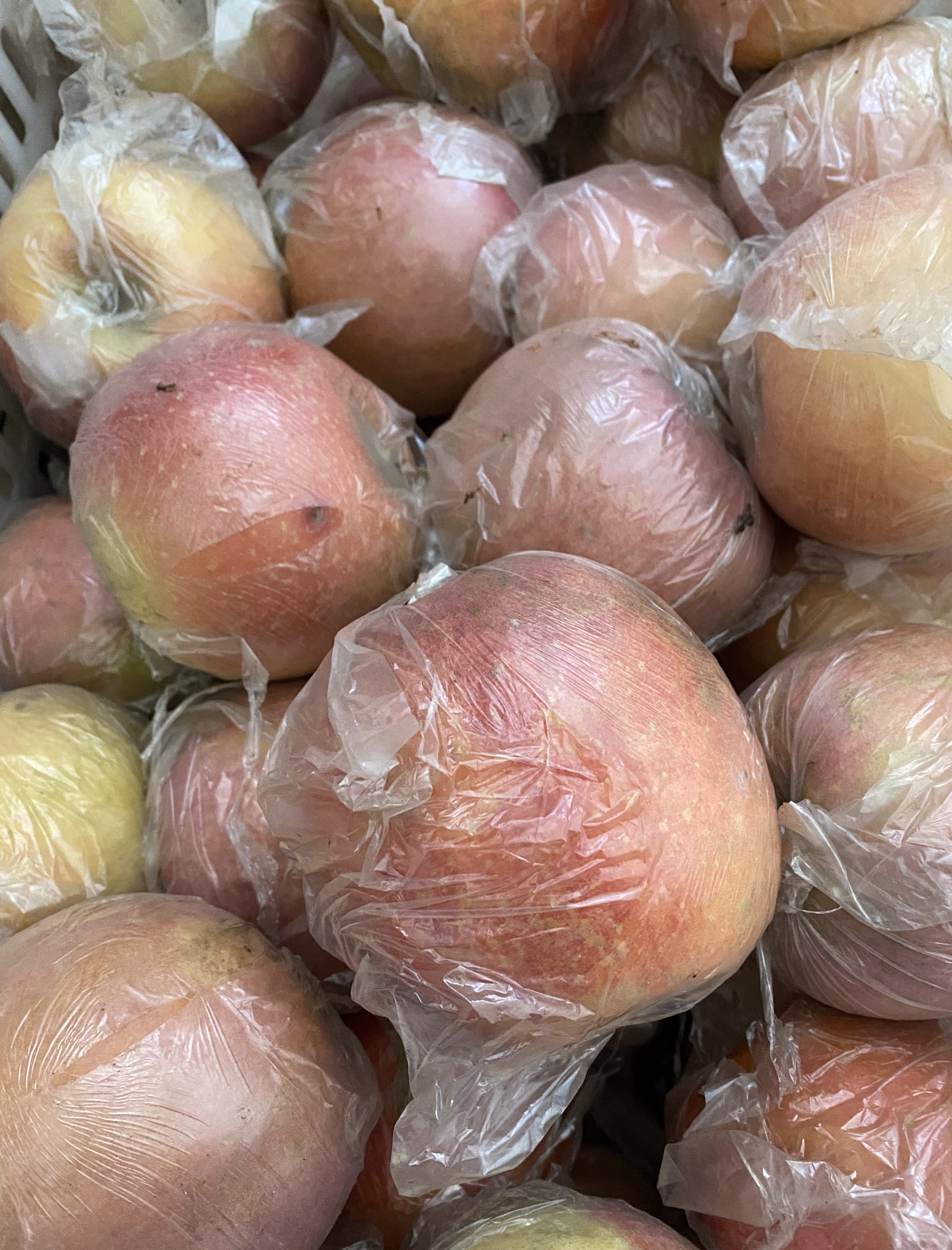 【顺丰包邮】老家味道砀山红富士苹果净重8.5～9斤