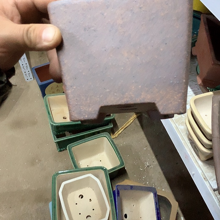 紫砂哈哈真的是太给力太