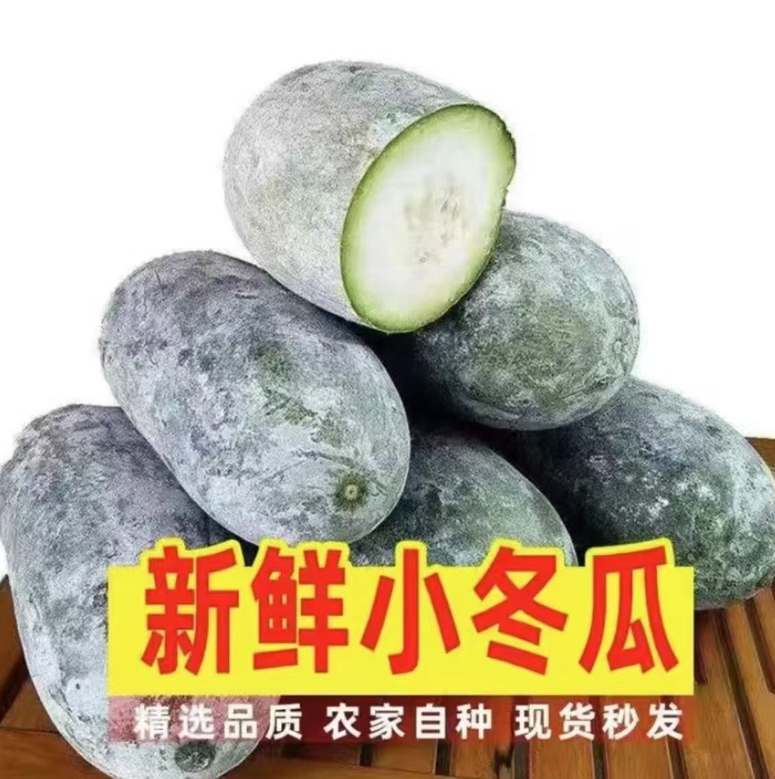 【现摘现发】水果小冬瓜迷你冬瓜新鲜采摘可生吃凉拌炖菜冬瓜5/9斤