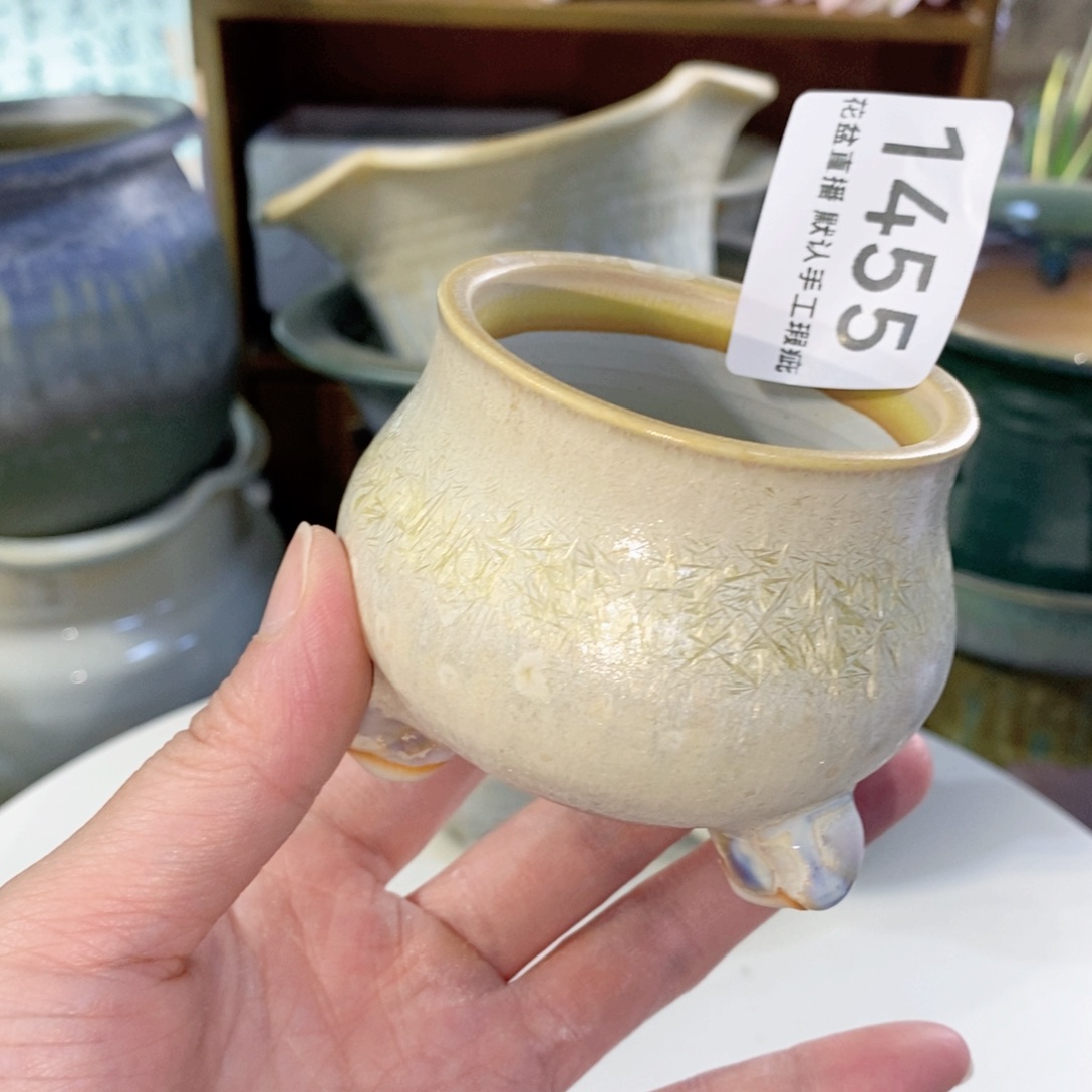 花盆花盆花盆花盆