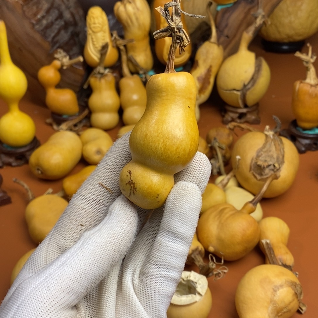 小***禄教练咯教练咯教练