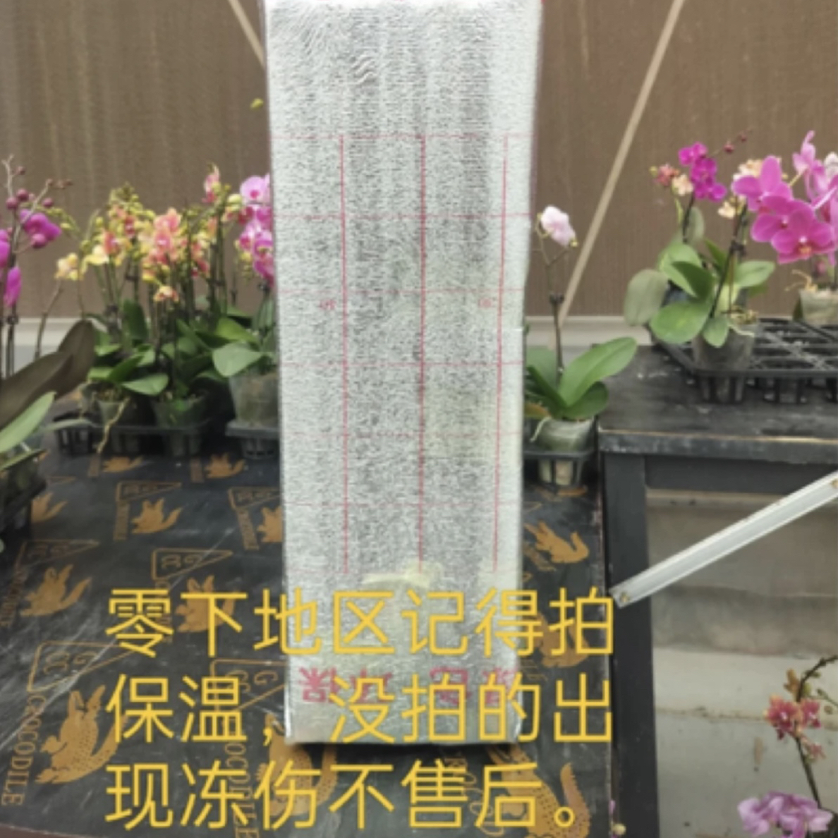 【保温】蝴蝶兰保温棉随花发货零度以下需拍保温棉避免