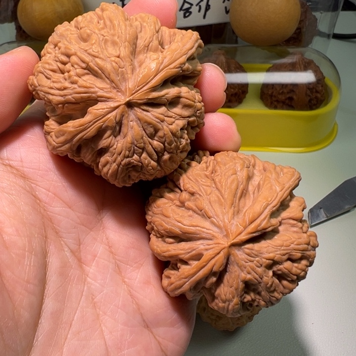 把件文玩核桃大粗筋