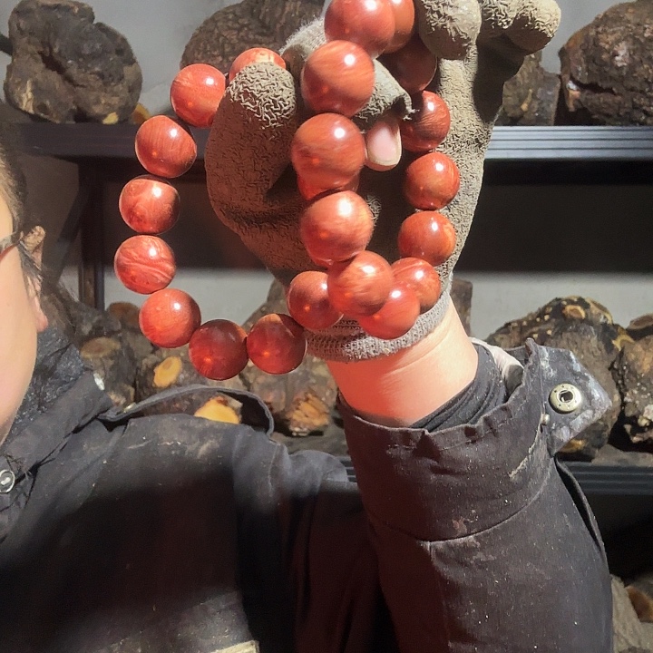 烈***火香榧木火琉璃的故事是一个人