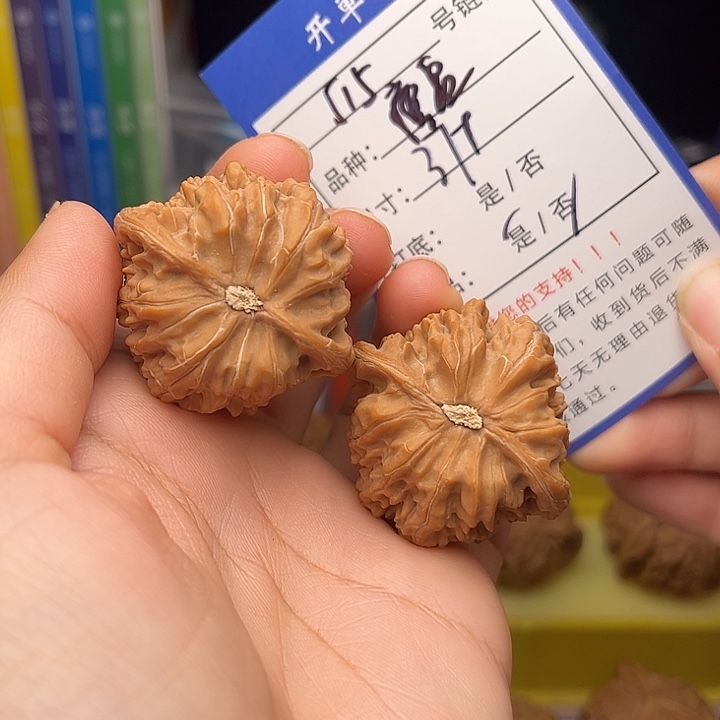 文玩核桃手捻核桃515