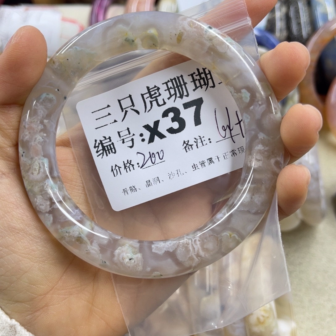 饺***王硅化珊瑚（珊瑚玉）未镶嵌h