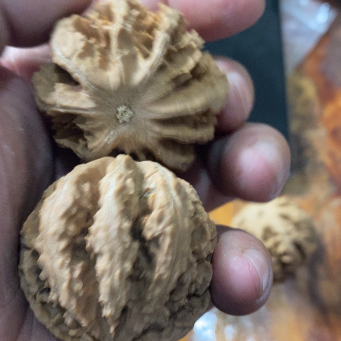 秦岭山脉东面临渤海边缘