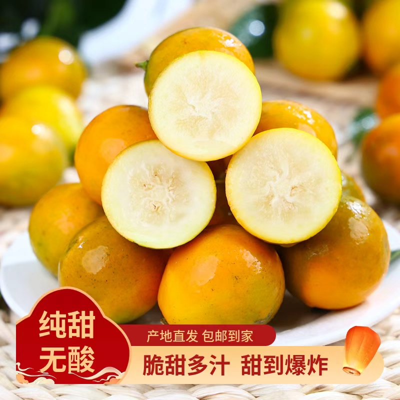 初鲜逸广西融安第二代滑皮金桔小金桔整箱3/5斤纯甜不酸应季脆甜商品图