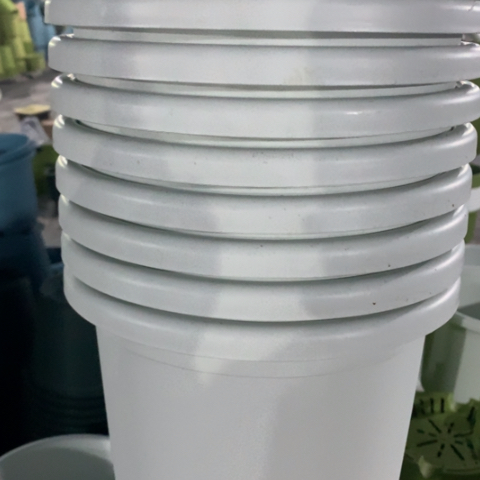 红陶2加奶白无托10个