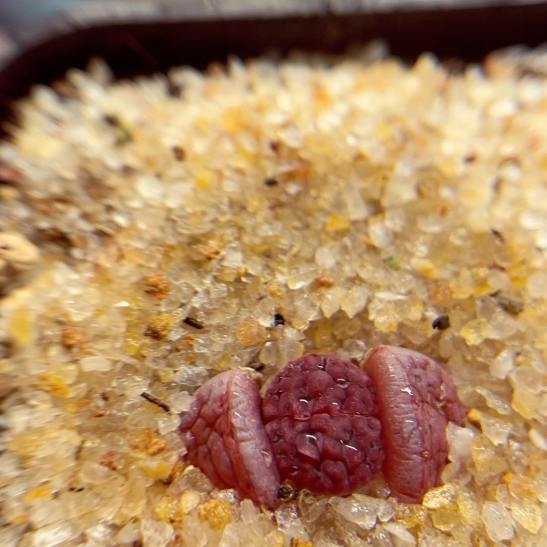 050. 678865678578857886