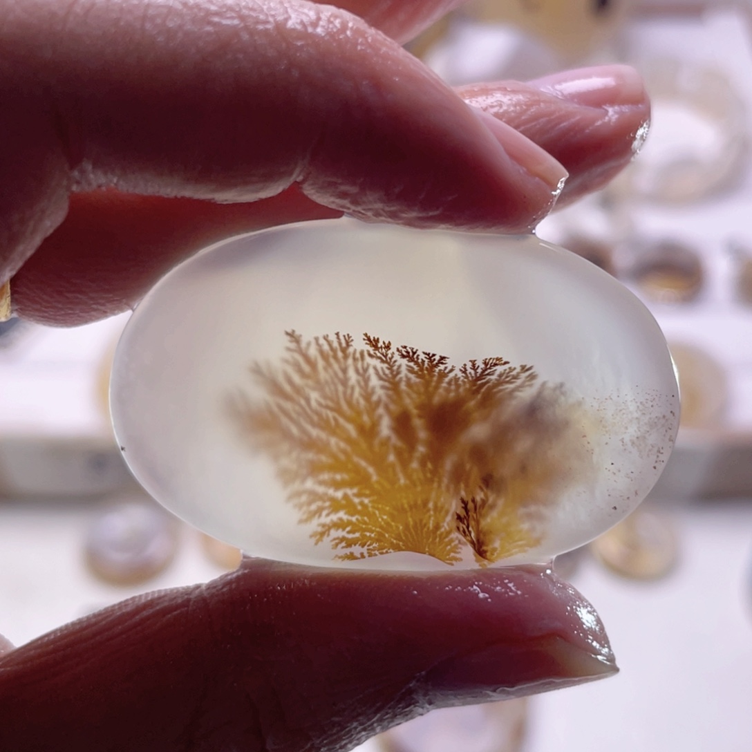 玛瑙/玉髓未镶嵌珠宝奇石