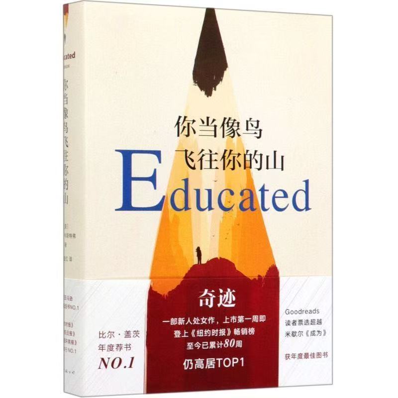 你当像鸟飞往你的山现当代文学女性暖心励志长篇小说