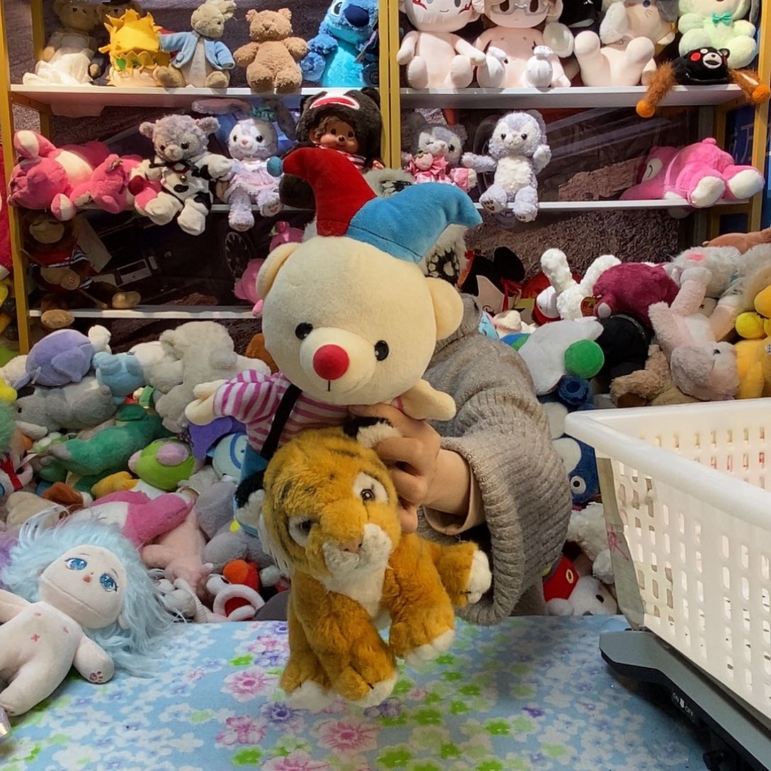 毛绒花*毛绒玩具141