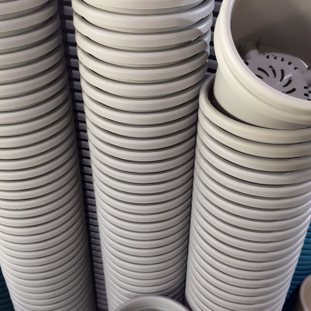 树脂四季3号无托10个灰白微瑕