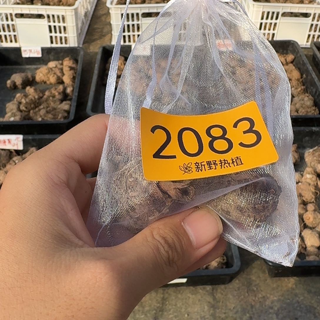 完全开放2083娇羞新娘裸球不售后