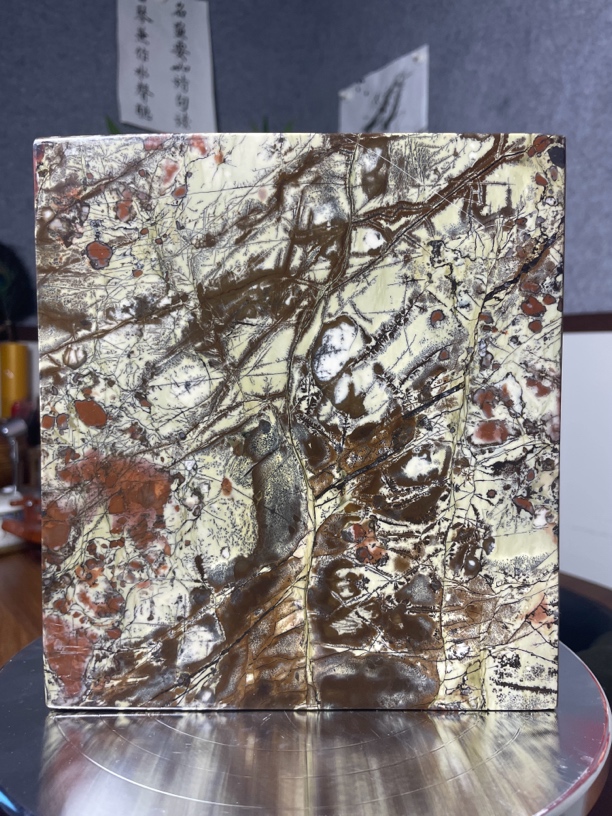 《熊猫树》广西国画石草花石画面石