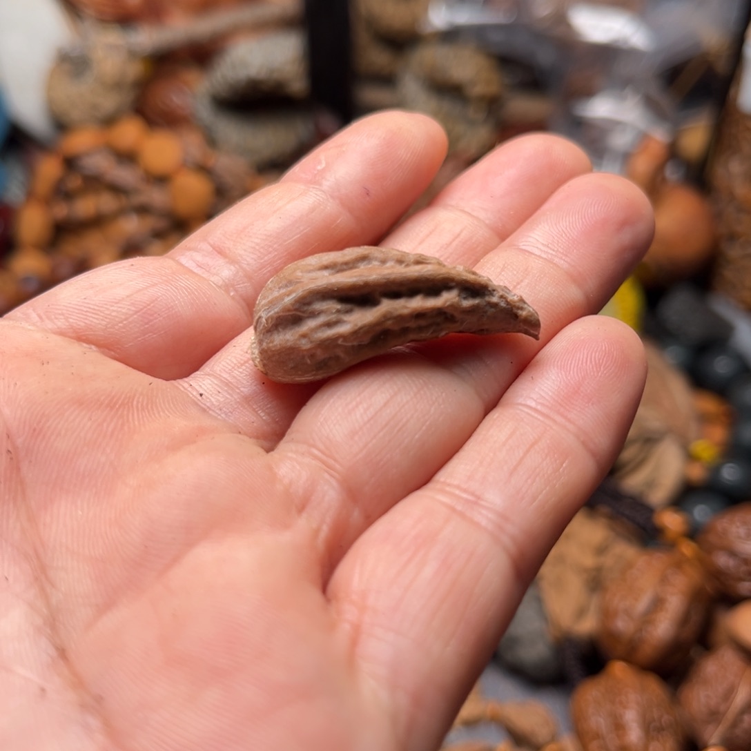 吊坠文玩核桃核桃118