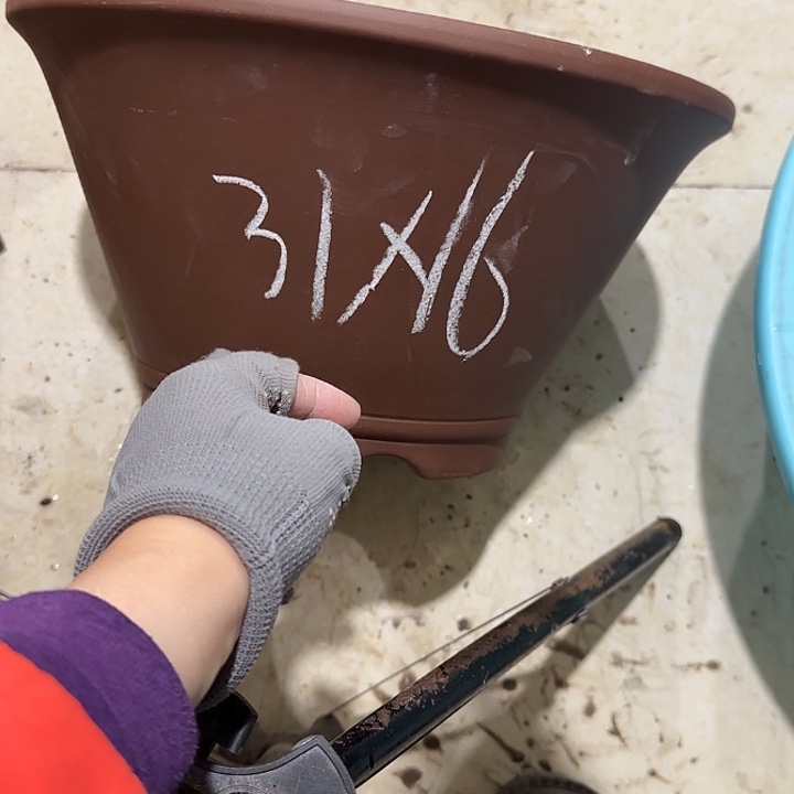 紫砂花盆破损包赔