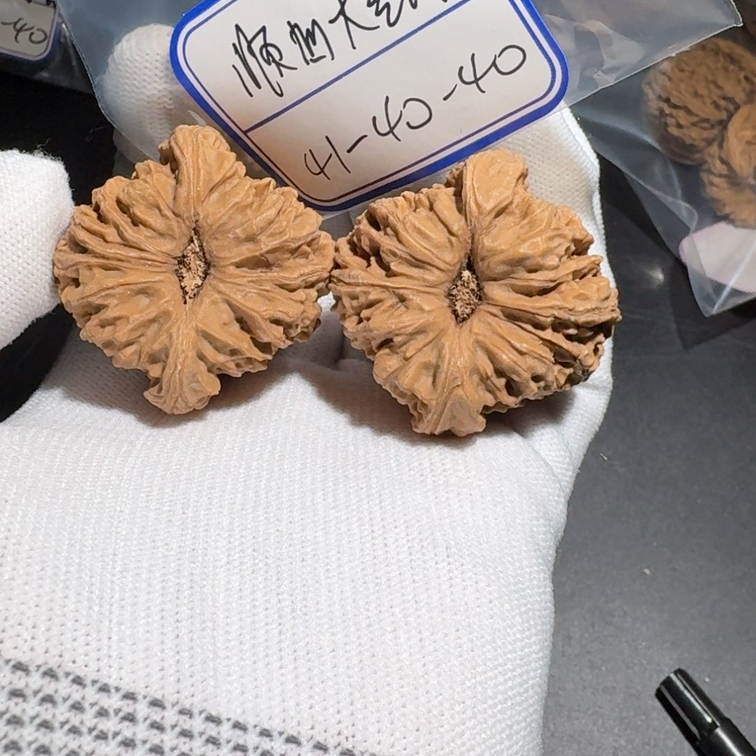 文玩核桃把件15号大凹底村将有黄