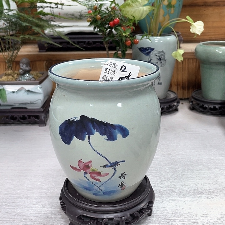 陶瓷花盆紫砂花盆抢购