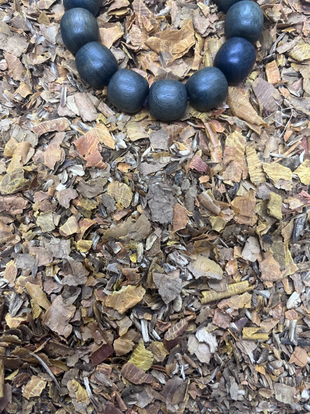 沉香E276 二哥精选文玩木作