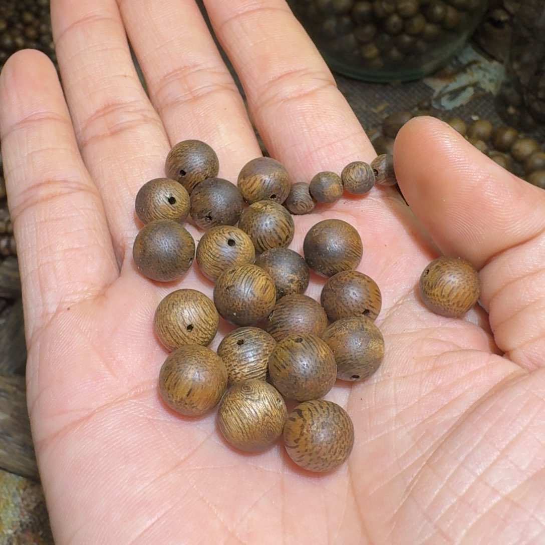 沉香沉香碎屑绿*光海南乌身老料0.97克