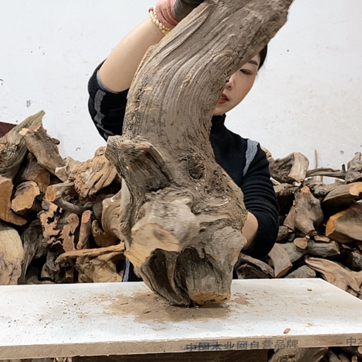 【闪购商品】柏木龍*轩我们都是好孩子