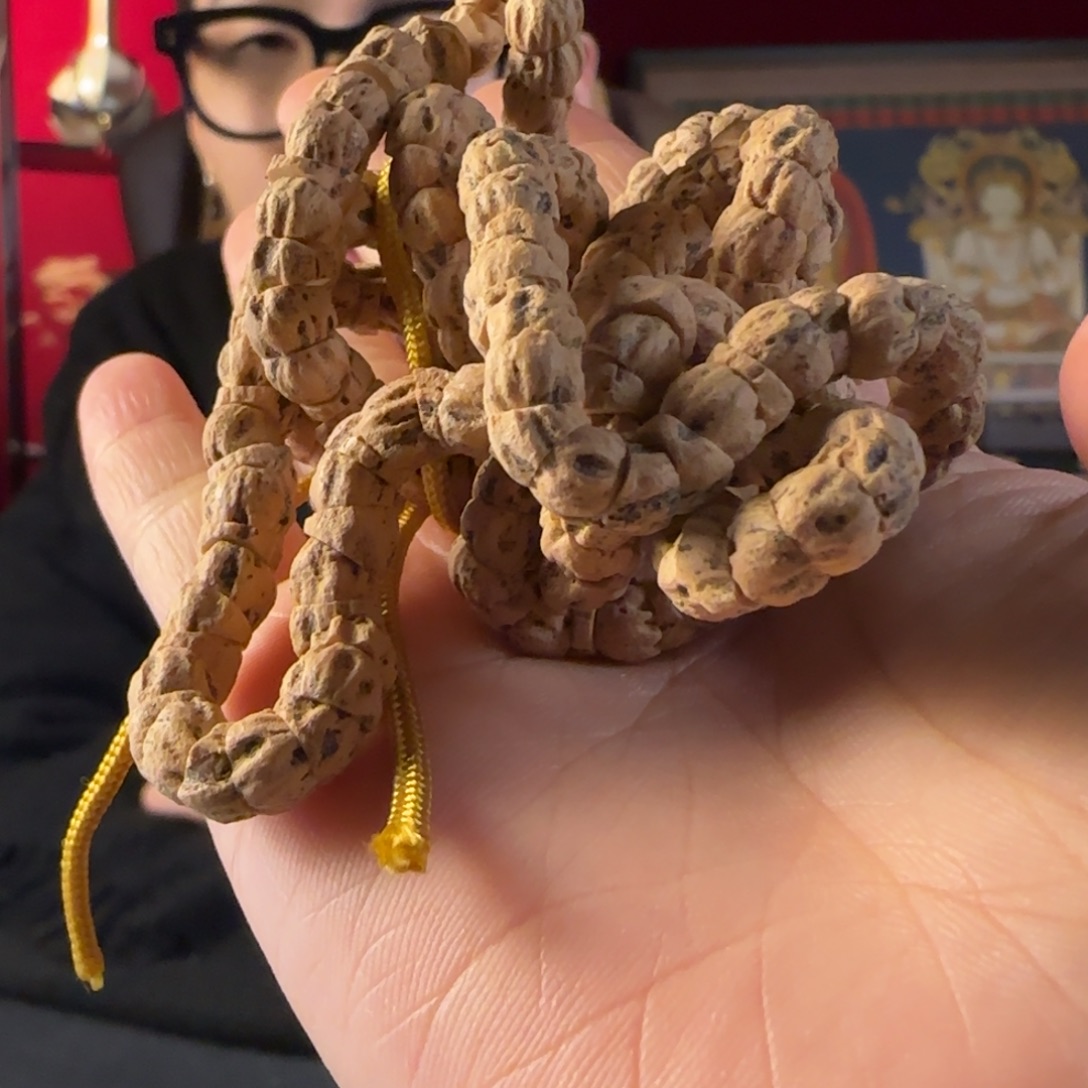 吊坠柏香籽/百香籽脏肠