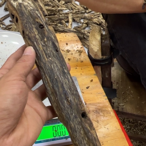 木福利奇楠虫漏馨香料142.9克