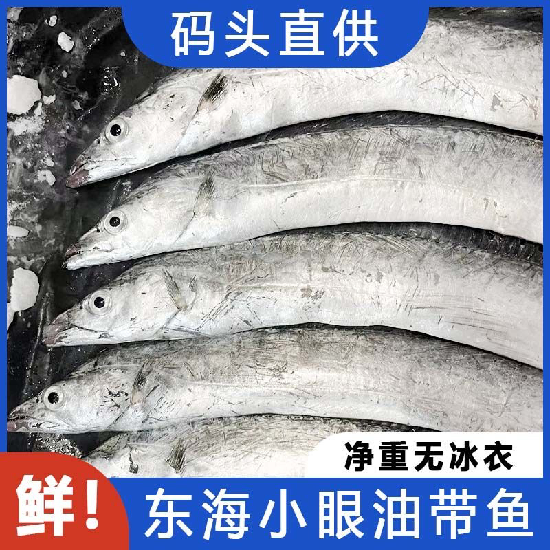 带鱼整条正宗东海小眼油带鱼正宗带鱼批发刀鱼带鱼整箱海鲜批发