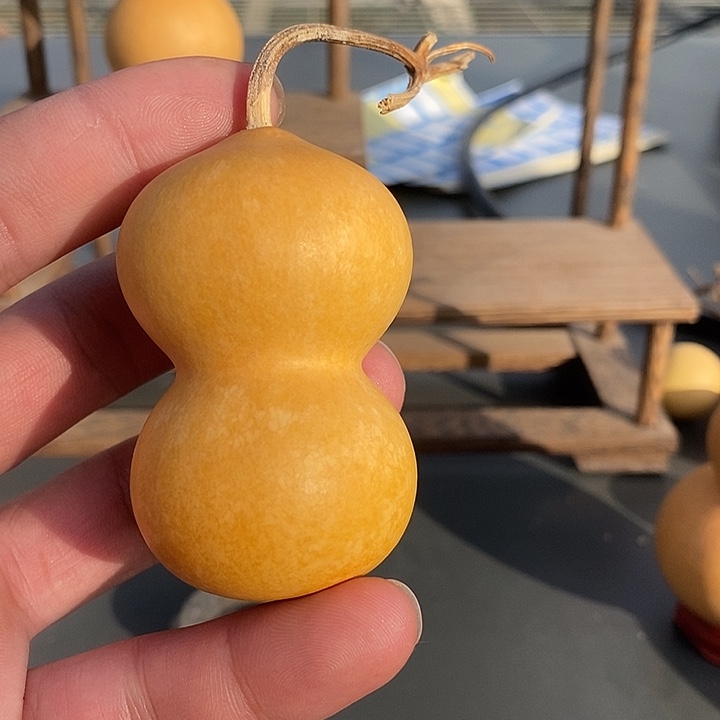 文玩葫芦888888888