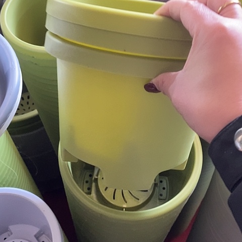 树脂球根21口径5个果绿