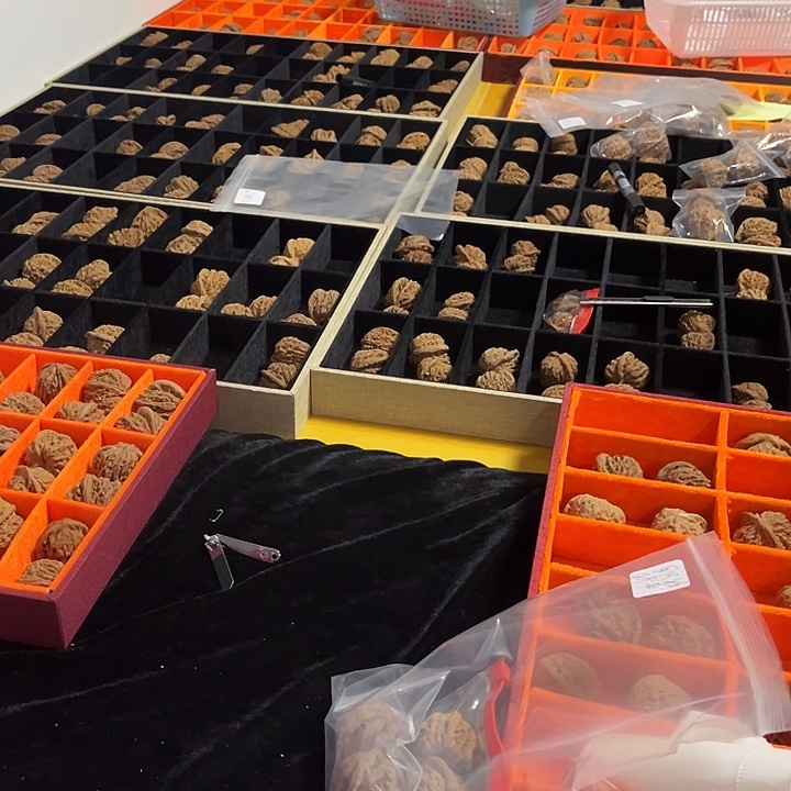 把件文玩核桃开播福利，新粉福利，三对微瑕，随机发