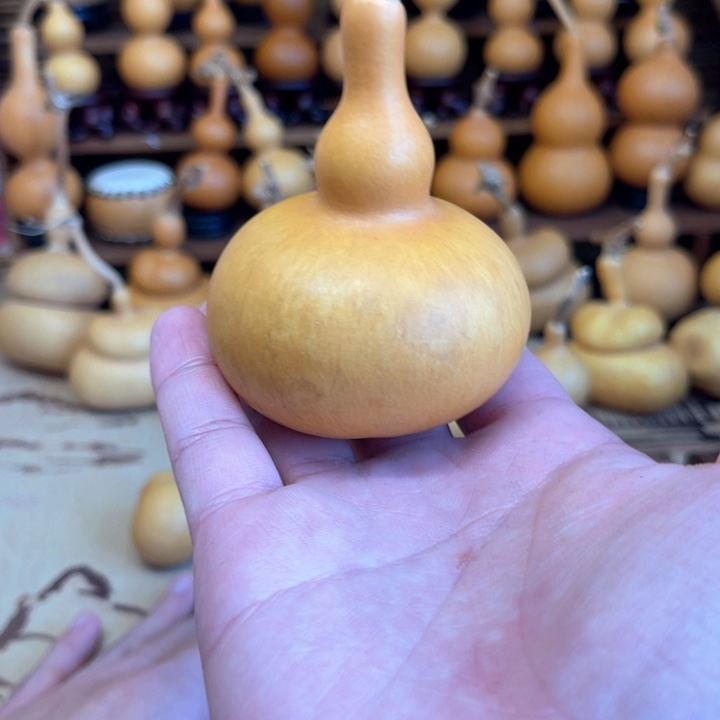 坐地炮小八宝厚皮响籽9