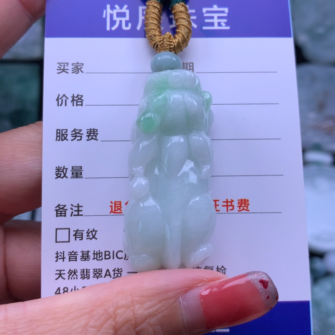 翡翠颈饰未镶嵌翡翠貔貅