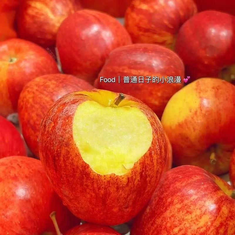智利伽利果脆甜苹果4枚1.2斤北京市水果同城送水果同城送新鲜苹果