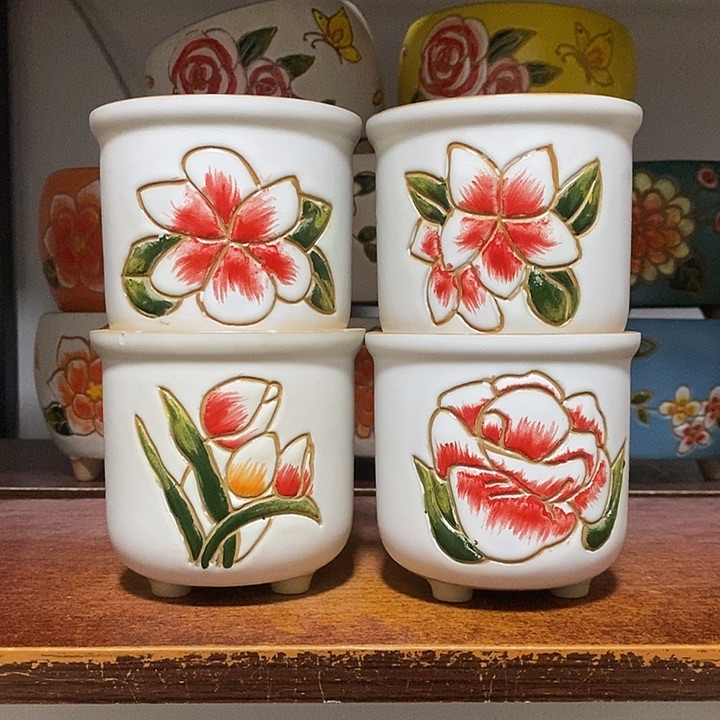 韩式多肉植物花盆