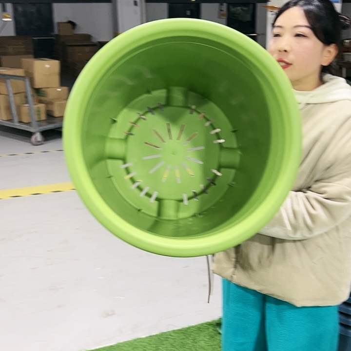 特价9号四季口46高40果绿2只无托