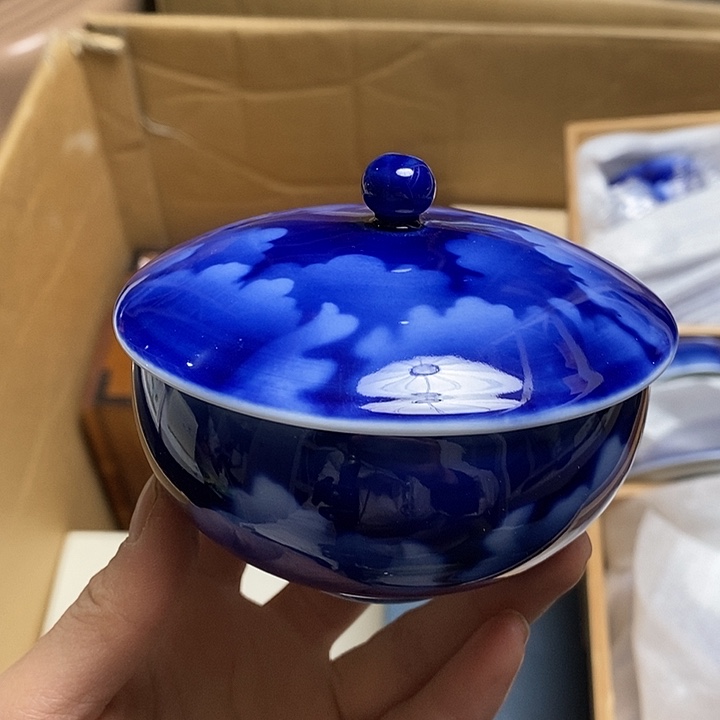 瓷片Z192 雅舍甄选优质大漂亮