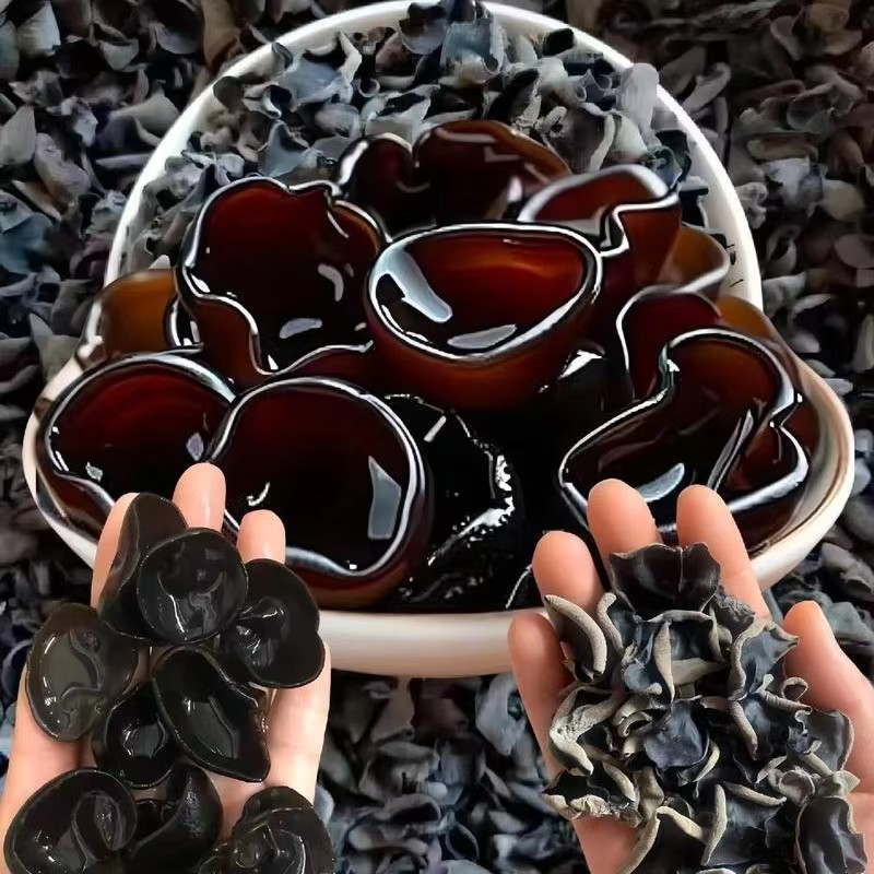 东北秋木耳无根肉厚长白山椴木特产干货试吃100克