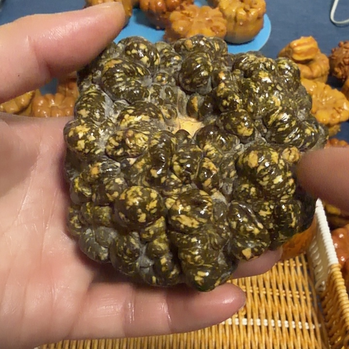 辉***娘墨西哥七彩疙瘩葫芦