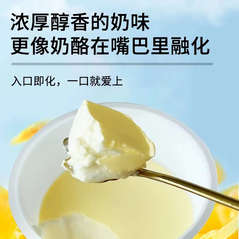 弘客希腊酸奶粉干噎酸奶杨枝甘露甜品烘焙奶茶店商用原材料500g