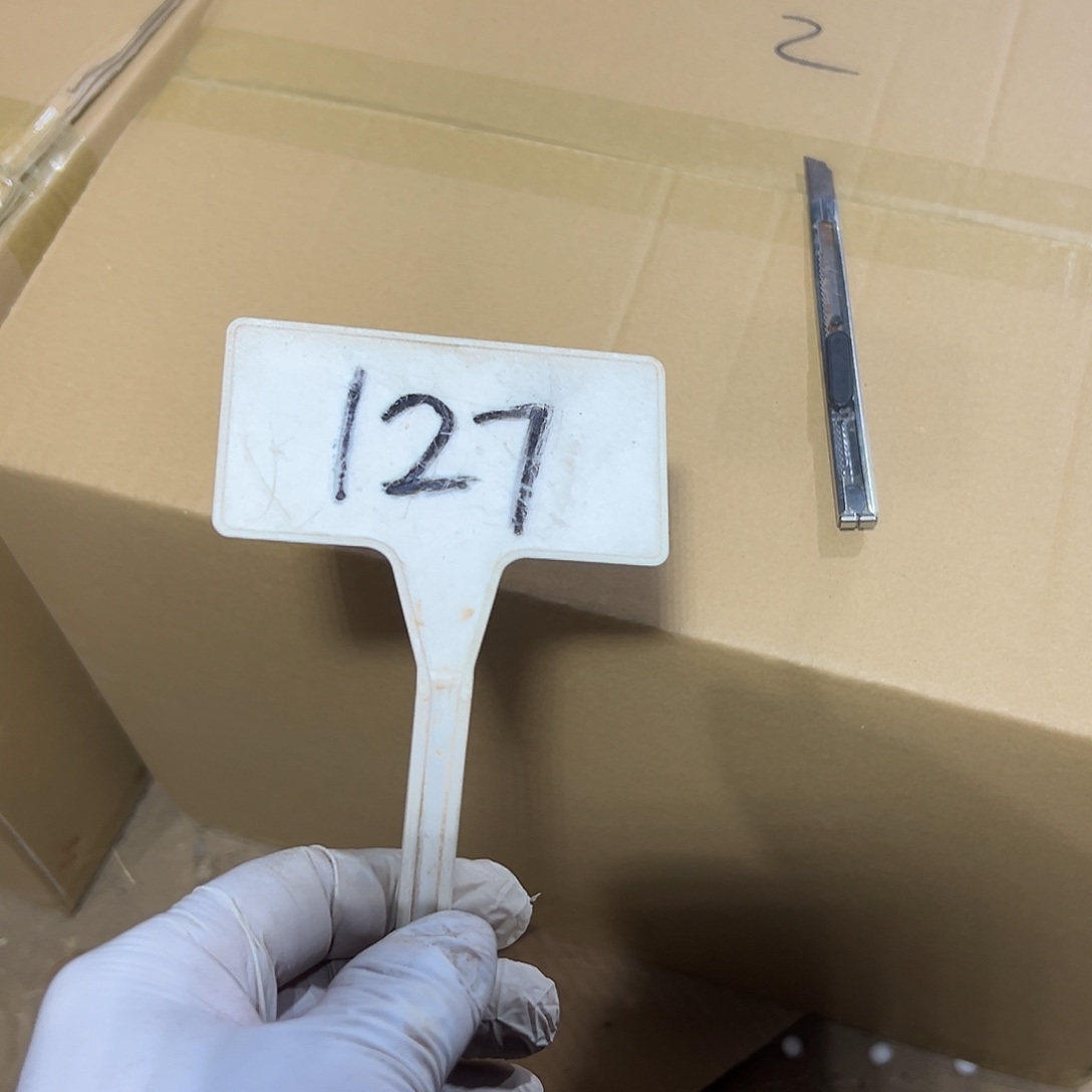 多127肉植物组合法师