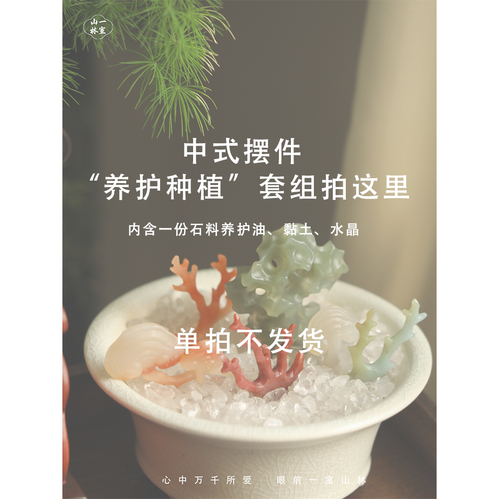 一室山林  印石“种植养护套组”