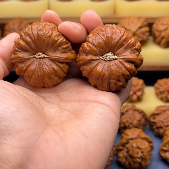 45全品南瓜墩狮子头