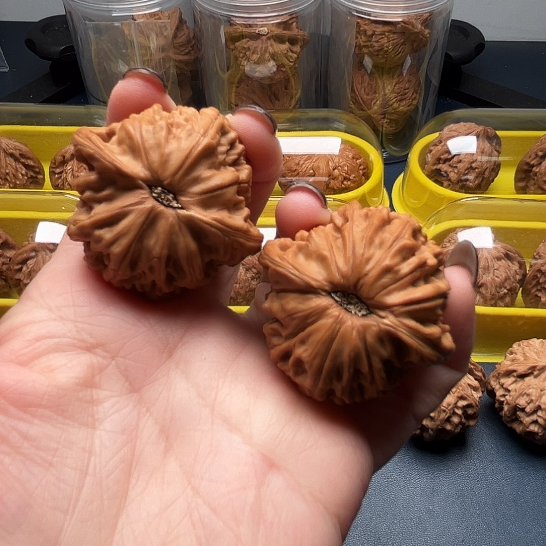 核桃40尺寸山地磨盘