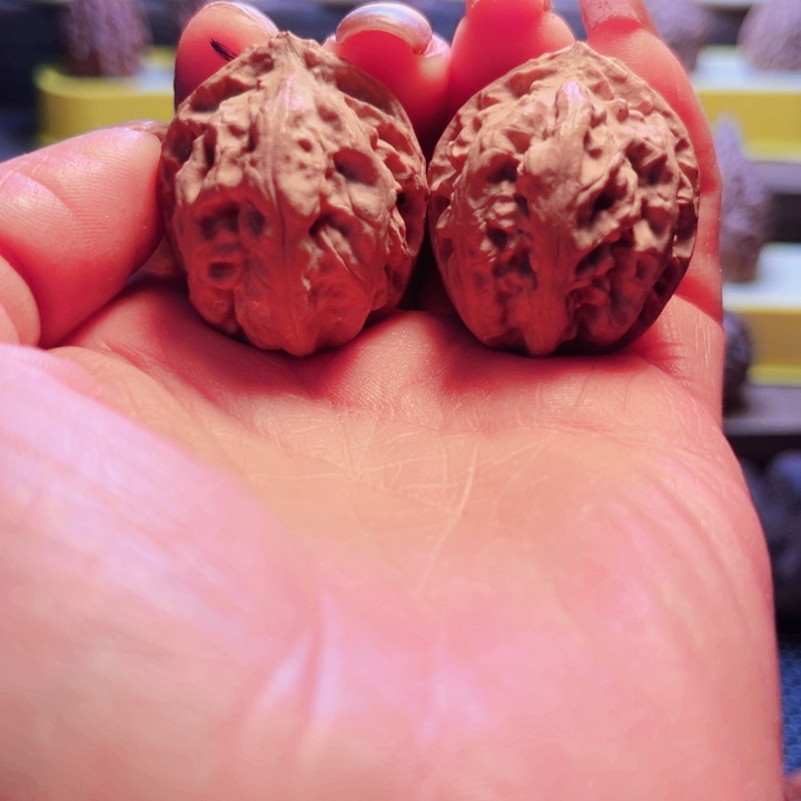 核桃9号车放漏漏漏